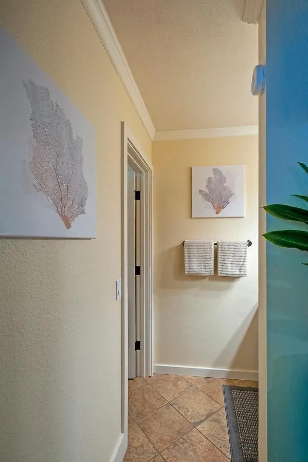 普林斯维尔Sp119B - Adorable, Affordable Studio, With Pool And Hot Tub, New Bed!公寓 普林斯维尔