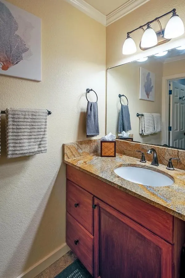 公寓 普林斯维尔Sp119B - Adorable, Affordable Studio, With Pool And Hot Tub, New Bed!公寓